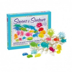 Kit Creativo: Fragancias y...